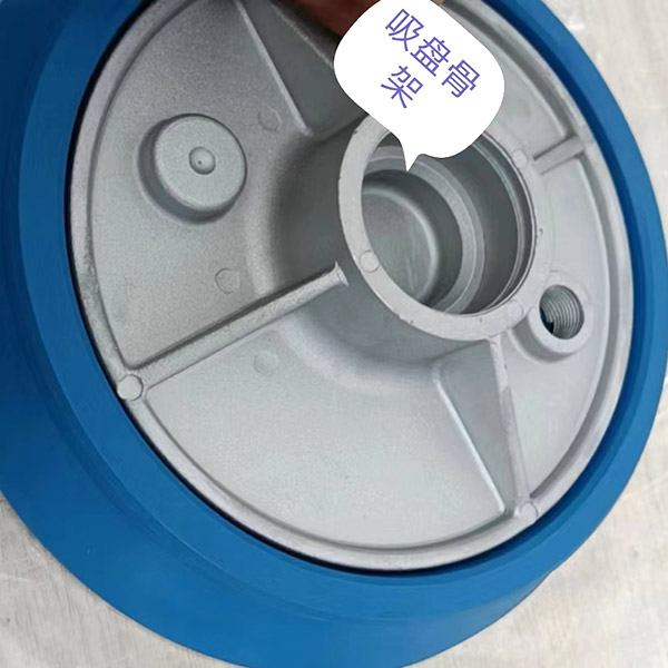 吸盤骨架